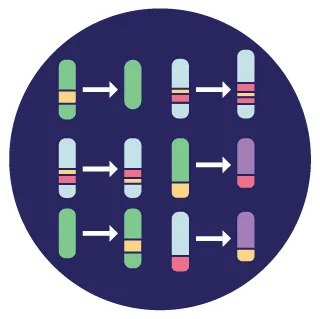structural variant