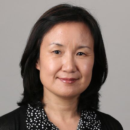 Profile image for Jianying Hu, PhD