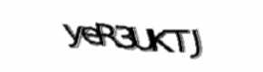 Security check image, please type the characters shown