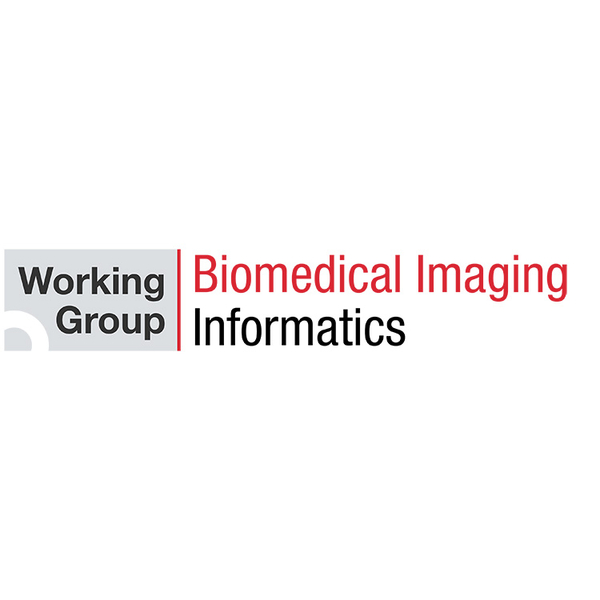 Image for Biomedical Imaging Informatics